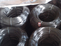 Carbon Steel Wire Mesh