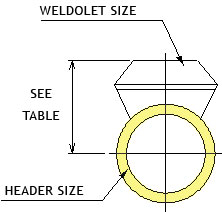 212-bn-ds-c12-pipe-fitting-weldolet